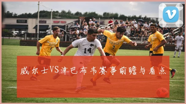 威尔士VS津巴布韦赛事前瞻与看点