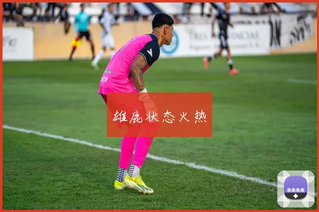 雄鹿状态火热