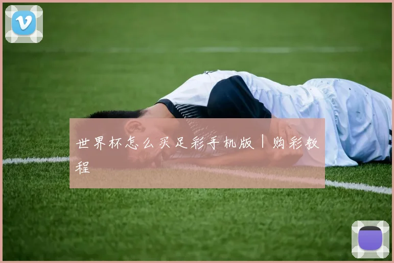 世界杯怎么买足彩手机版｜购彩教程