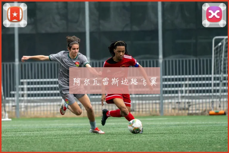 阿尔瓦雷斯边路飞翼