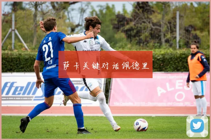 萨卡关键对话佩德里