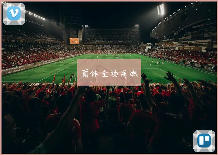 葡体全场高燃