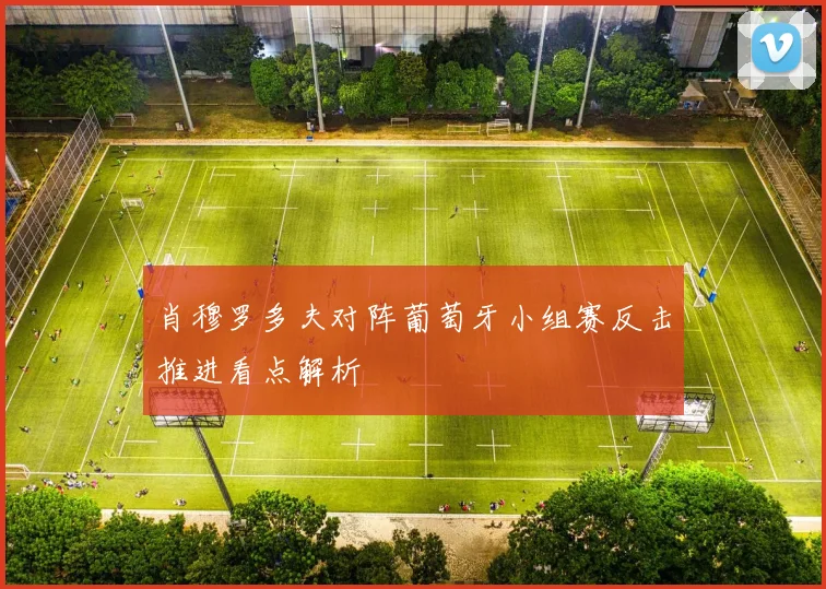 肖穆罗多夫对阵葡萄牙小组赛反击推进看点解析