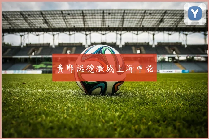 费耶诺德激战上海申花