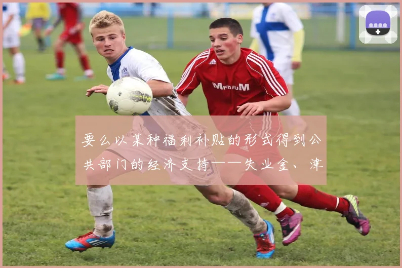 要么以某种福利补贴的形式得到公共部门的经济支持——失业金、津贴、养老金