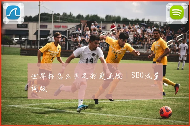 世界杯怎么买足彩更正规｜SEO流量词版
