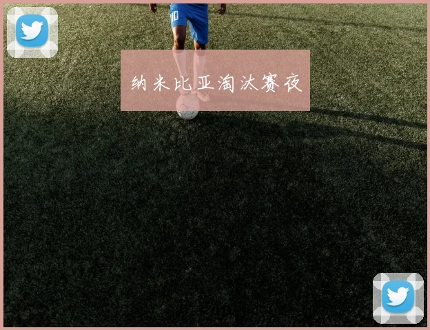 纳米比亚淘汰赛夜