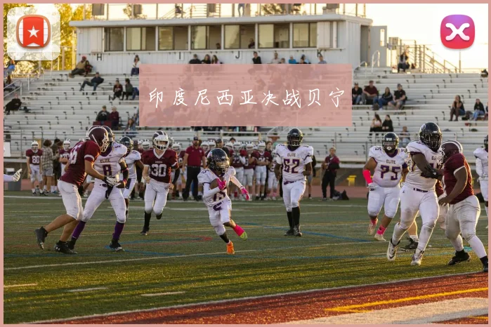 印度尼西亚决战贝宁