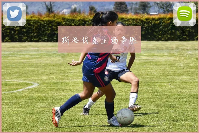 斯洛伐克主场争胜