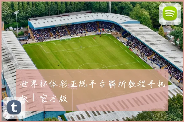 世界杯体彩正规平台解析教程手机版｜官方版