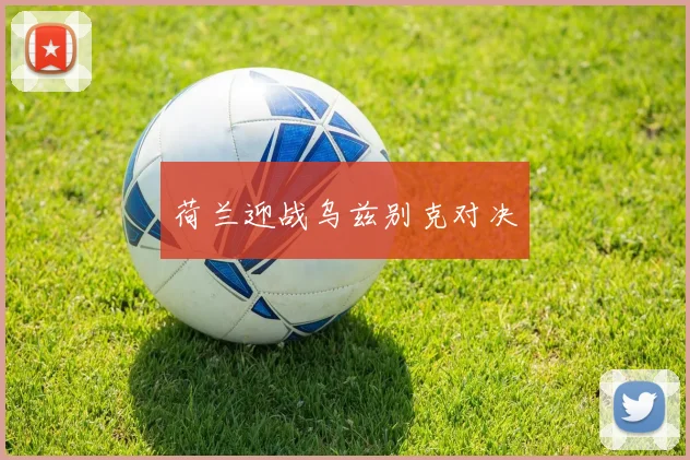 荷兰迎战乌兹别克对决