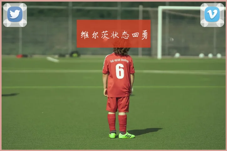 维尔茨状态回勇
