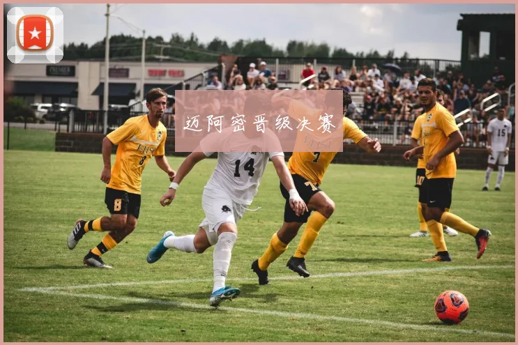 迈阿密晋级决赛