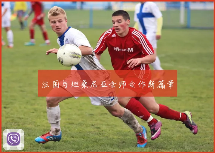 法国与坦桑尼亚会师合作新篇章