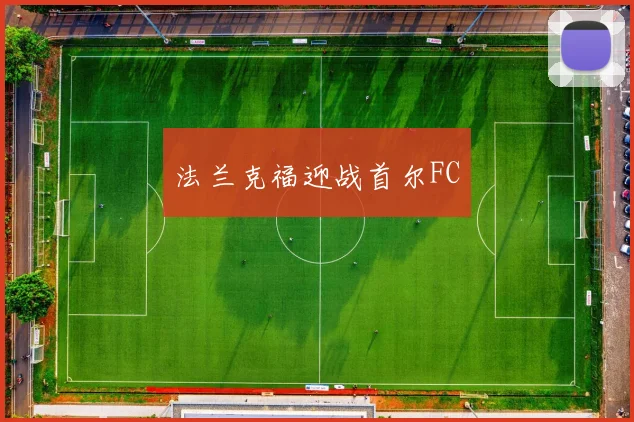 法兰克福迎战首尔FC