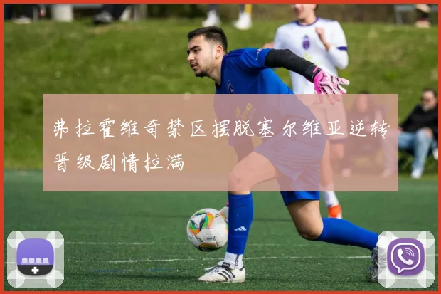弗拉霍维奇禁区摆脱塞尔维亚逆转晋级剧情拉满
