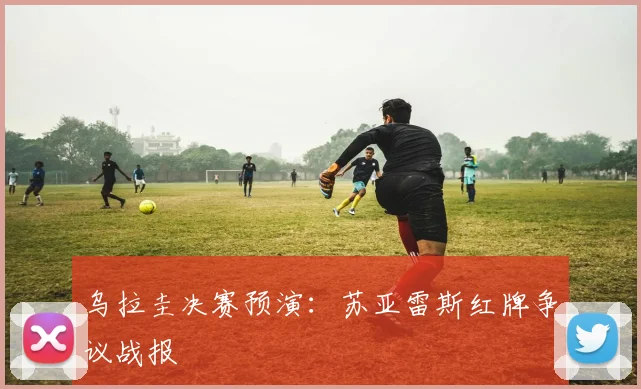 乌拉圭决赛预演：苏亚雷斯红牌争议战报