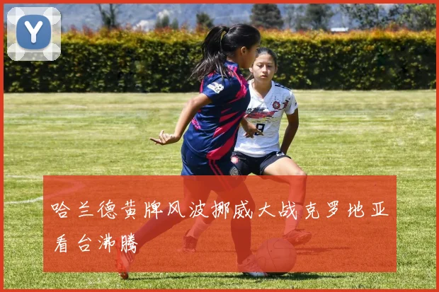 哈兰德黄牌风波挪威大战克罗地亚看台沸腾