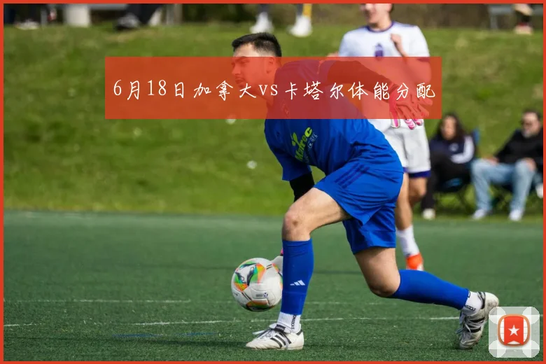 6月18日加拿大vs卡塔尔体能分配