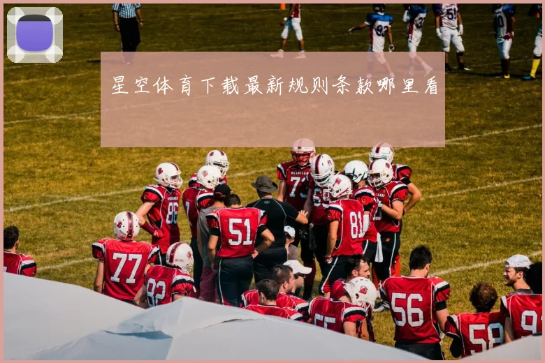 星空体育下载最新规则条款哪里看